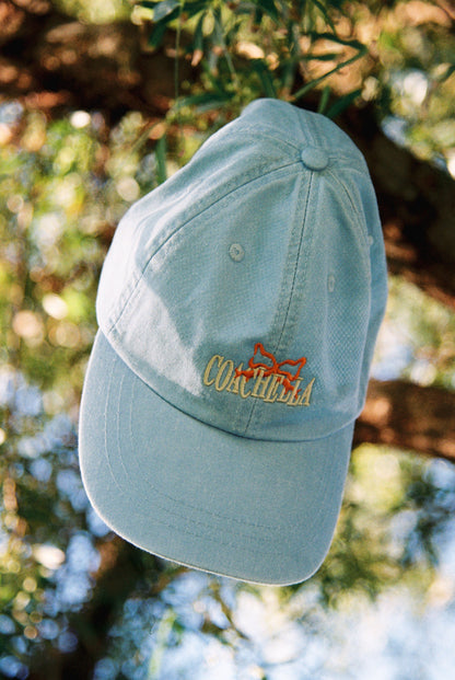 Ribbons & Roses Dad Hat