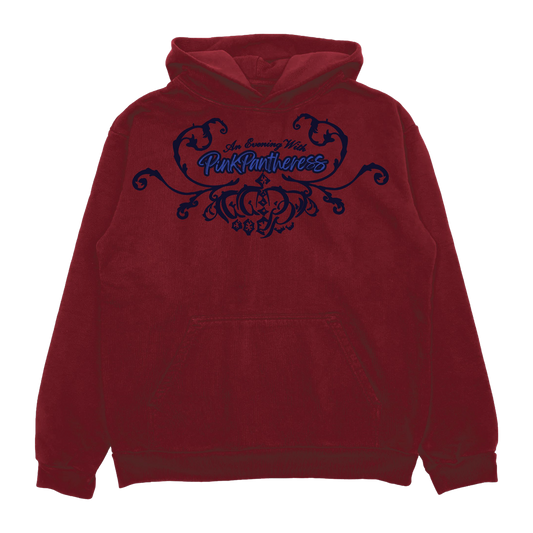 PinkPantheress Let It All Go At Coachella Hoodie